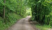 Excursión Paseo ecuestre Mollkirch - 2019-05-26 Balade Fête des mères - Photo 1