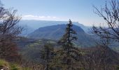 Trail Walking Le Sappey-en-Chartreuse - Le Rochet du Bret - Photo 7