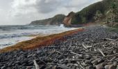 Tour Wandern Le Lorrain - Boucle Crabière - Anse Rivière Rouge - Photo 13