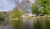 Tour Wandern La Roche-en-Ardenne - la roche - maboge - la roche  - Photo 1