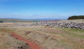 Trail Walking Prinsuéjols-Malbouzon - prinsueljols-aubrac etape st Jacques  - Photo 18