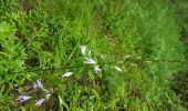 Tocht Stappen Lodève - Lodève - La Solitude - Les Grasseries - Photo 3