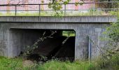 Tour Zu Fuß Lichtenberg - Gelber Strich 