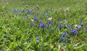 Tour Wandern Engins - Boucle au départ d’engins - Photo 10