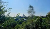 Tocht Stappen Vresse-sur-Semois - Balade à Orchimont - Les Moinils - Photo 2