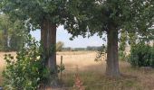 Tour Elektrofahrrad Ronse - Balade du 15 août- Dergnau Eglise - Saint-Sauveur  - Photo 4