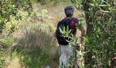 Tour Wandern Colera - Colera 3  - Photo 3