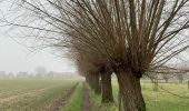 Tocht Stappen Kasteelbrakel - Braine le chateau 11 km - Photo 8