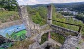 Randonnée Marche Sprimont - Aywaille : La Heyd des Gattes,  Carrière de Goiveux, Chateau de L'Emblève - Photo 18