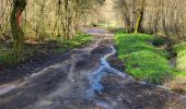 Tour Wandern Gedinne - Willerzie 190425 - Photo 13