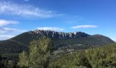 Tocht Stappen La Valette-du-Var - Le Coudon au départ de Baudouvin  - Photo 4