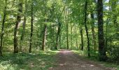 Excursión Senderismo Saint-Vit - saint vit - velesmes-essarts /  autour du bois des saussottes - Photo 20