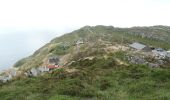 Excursión A pie West Cork - Lighthouse Loop Walk - Photo 2