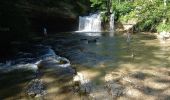 Tocht Stappen Menétrux-en-Joux - Cascades du Hérisson 13.7.24 - Photo 2