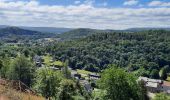 Tour Wandern Viroinval - Viroinval commune de Mazée - Photo 5