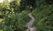Trail Walking Sixt-Fer-à-Cheval - Lac Vogealle depuis chalet de Boret - Photo 7