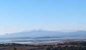 Excursión Senderismo Gruissan - À la découverte du massif de la Clape - Photo 2