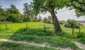 Tour Zu Fuß Borgloon - Grootloon Blauwe ruit - Photo 2