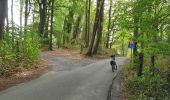 Tocht Elektrische fiets Ronse - Russeignies - Photo 4