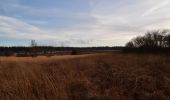 Tour Wandern Weismes - 20201124 - Baraque Michel 7.6 Km - Photo 8