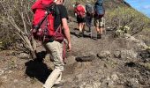 Tocht Stappen Los Silos - Los Silos Cuevas Negra monte del Agua - Photo 3