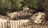 Trail Walking Saint-Cyr-sur-Mer - Dune de sable  - Photo 12
