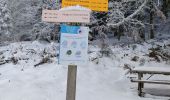 Trail Walking Proveysieux - Proveyzieux- Col de la Charmette - Photo 3