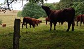 Tocht Stappen Steinbach - Rando Marcheurs du 03/07/2023 par ALAIN - Photo 1