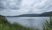 Tocht Stappen Schluchsee - Forêt Noire : tour du lac Schluchsee - Photo 3