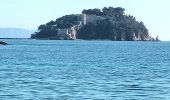 Tour Wandern La Londe-les-Maures - De l'Argentière à la Vignasse A/R 02-02-24 - Photo 10