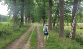 Trail Walking Hoogstraten - Wortel-Kolonie  - Photo 14