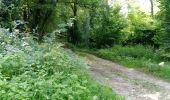 Tocht Stappen Montreuil-aux-Lions - Montreuil-aux-Lions du 20-07-2024 - Photo 12