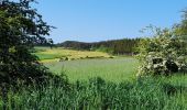 Trail Walking Saugues - live Saugues - Lajo - Photo 2
