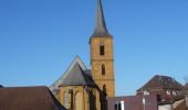 Tour Zu Fuß Scheßlitz - Rundwanderweg Scheßlitz B 