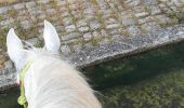 Tour Reiten Saint-Martin - St Martin domevre bois banal Pont rouge blockhaus  - Photo 3