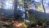 Tour Wandern Wanzel - 2020-05-21 Marche La Vancelle Boucle - Photo 7