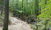 Trail Walking Aywaille - Vallée du Ninglinspo à Nonceveux - Photo 1