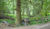 Trail On foot Simmerath - Flurheckenweg Eicherscheid - Photo 5