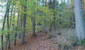 Trail Walking Mörsdorf - pont suspendu de Geierlay - Photo 9