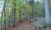 Tocht Stappen Mörsdorf - pont suspendu de Geierlay - Photo 9