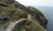 Tocht Te voet West Cork - Cahergal Loop Walk - Photo 3