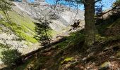 Excursión Senderismo Estaing - 190514-Lac Estaing/Lac du Plat de Praat - Photo 11