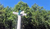 Tour Wandern Coye-la-Forêt - Boucle autour des étangs de Commelles - Photo 5