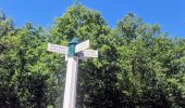 Excursión Senderismo Coye-la-Forêt - Boucle autour des étangs de Commelles - Photo 5