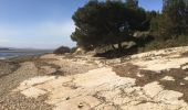 Tocht Stappen Gruissan - Gruissan - Tour de l'île Saint Martin par l'Ayrolle - Photo 12