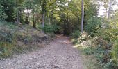 Trail Walking Theux - haut regard sur le Potai  - Photo 9