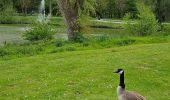 Randonnée Marche Voerendaal - Balade des châteaux  - Photo 2