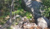 Trail Walking Asco - cascade de pietrella - Photo 5