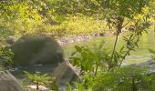 Trail Trail Petit-Bourg - INRA  - Photo 7