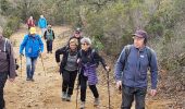 Tour Wandern Roquebrune-sur-Argens - La haute Cavalière - Photo 9